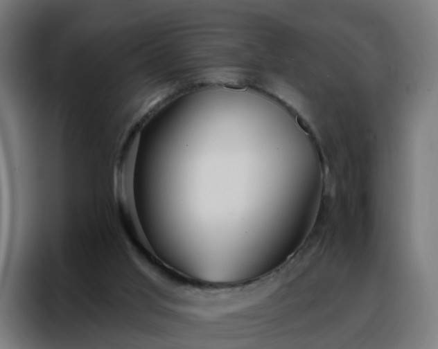 X0000088180013200705221651