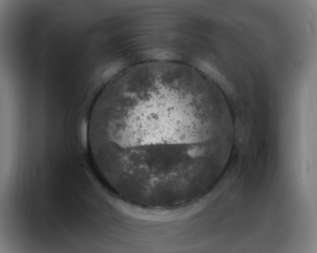X0000088180014200705221651