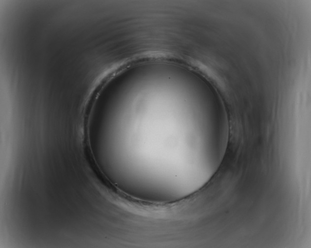 X0000088180015200705221651
