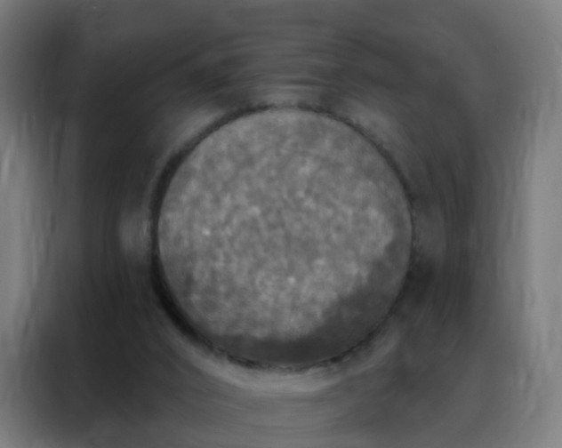 X0000088180016200705221651