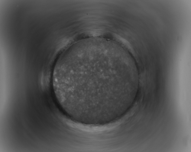 X0000088180018200705221651