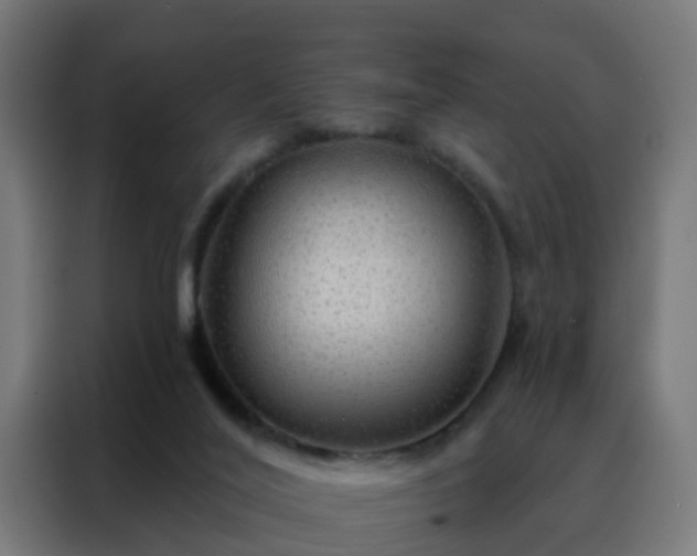 X0000088180020200705221651
