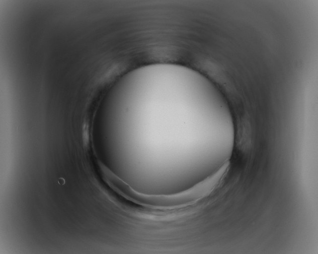 X0000088180021200705221651