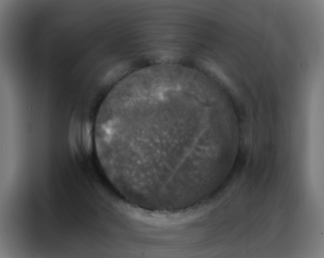 X0000088180022200705221651