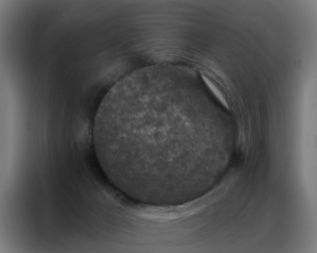 X0000088180029200705221651