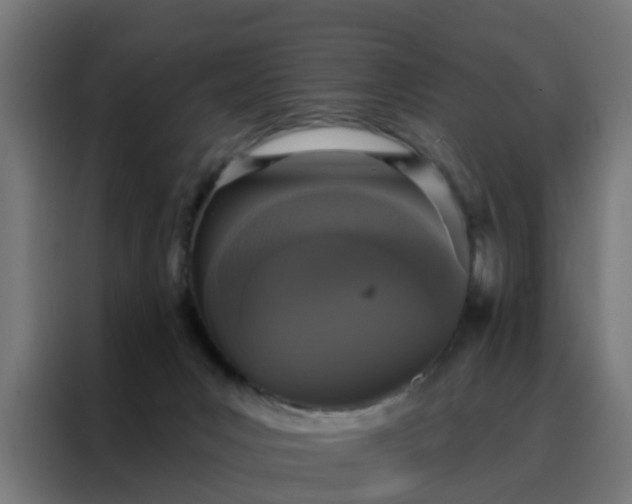 X0000088180031200705221651