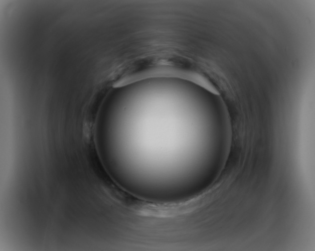 X0000088180033200705221651