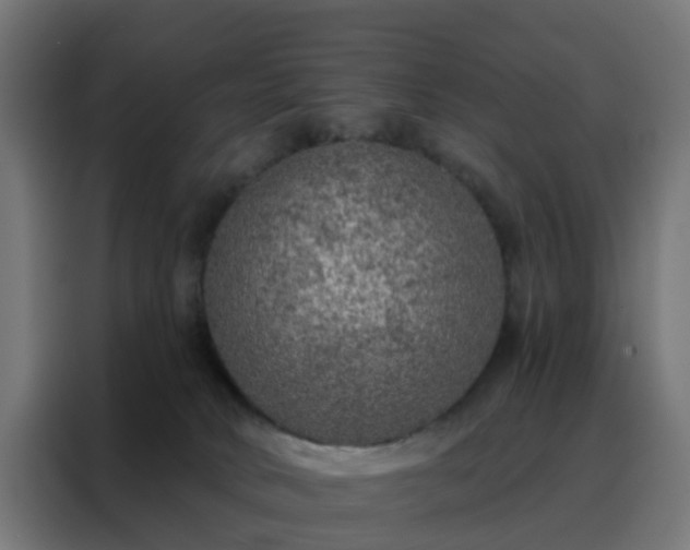 X0000088180034200705221651
