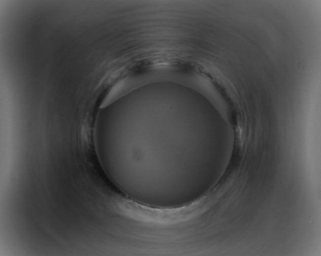 X0000088180035200705221651