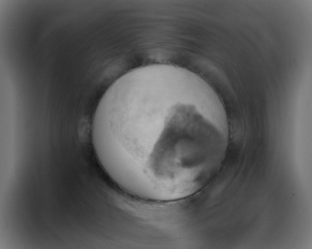 X0000088180036200705221651