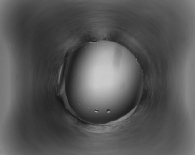 X0000088180037200705221651