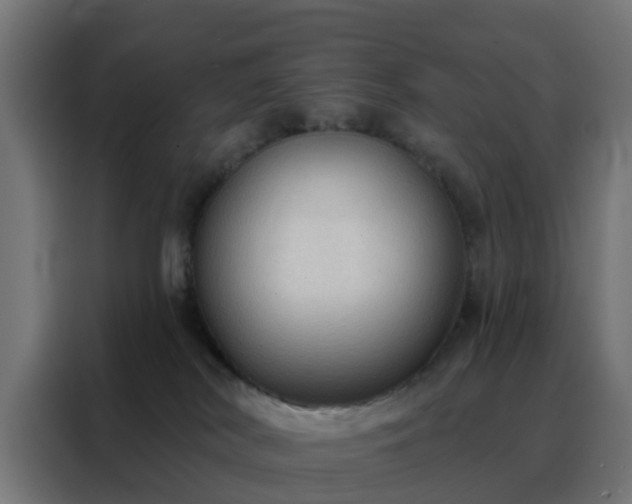 X0000088180038200705221651