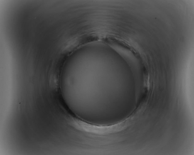 X0000088180039200705221651