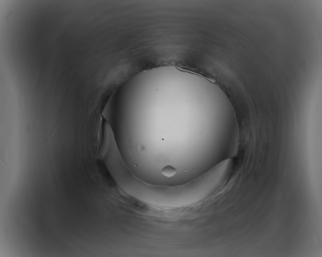 X0000088180041200705221651