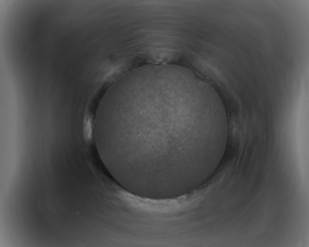 X0000088180042200705221651