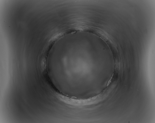 X0000088180043200705221651
