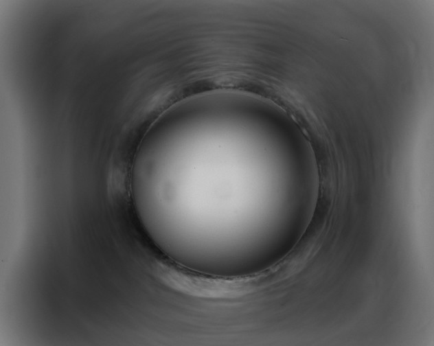 X0000088180044200705221651