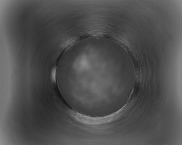 X0000088180047200705221651
