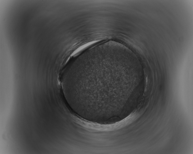 X0000088180048200705221651