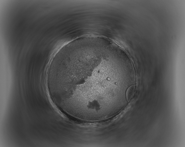 X0000088180049200705221650
