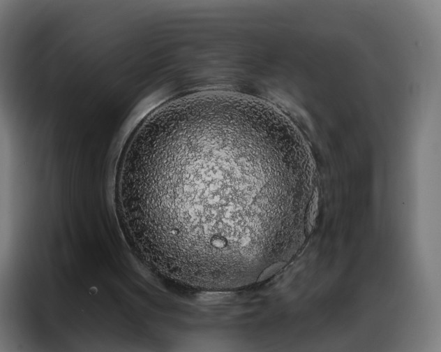 X0000088180051200705221650