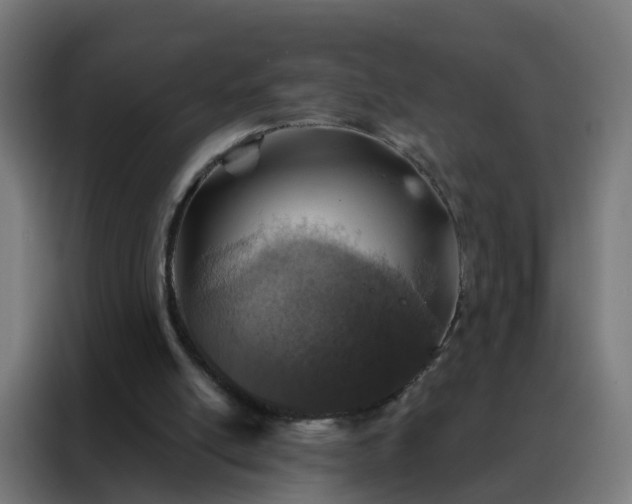 X0000088180054200705221650