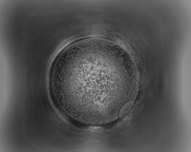 X0000088180055200705221650