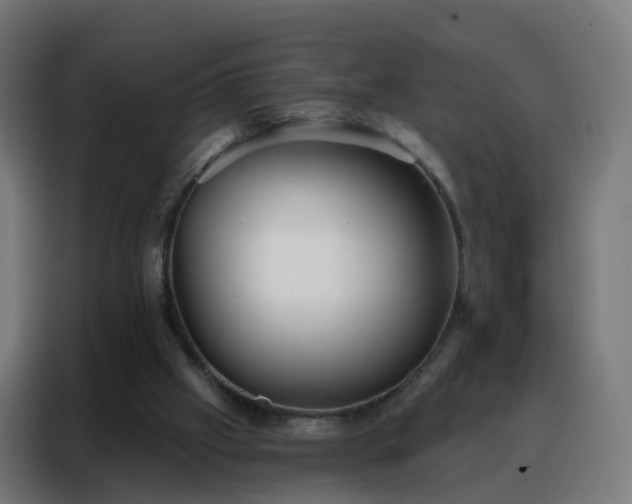 X0000088180057200705221650