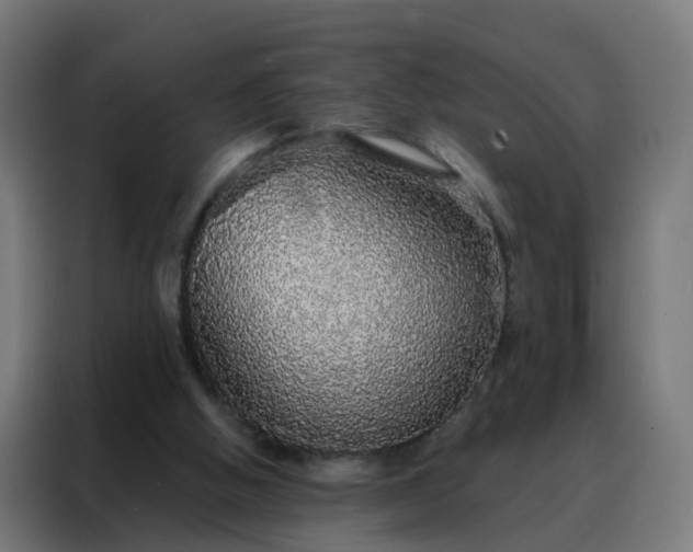 X0000088180058200705221650