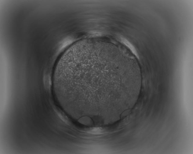 X0000088180059200705221650