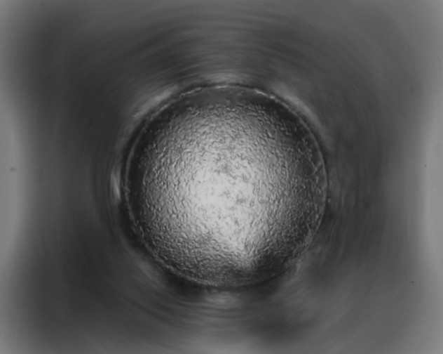 X0000088180062200705221650