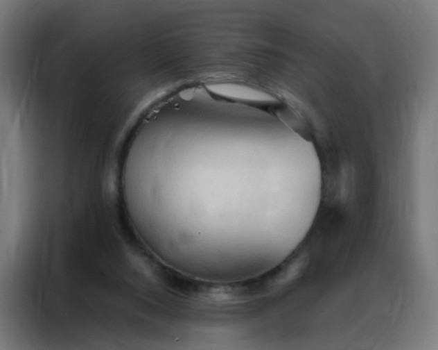 X0000088180064200705221650