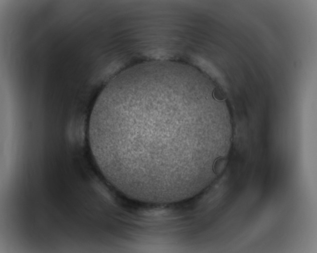 X0000088180065200705221650