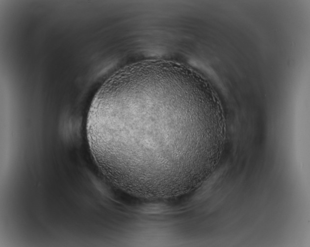 X0000088180066200705221650