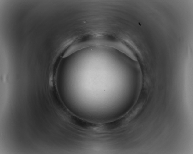 X0000088180068200705221650