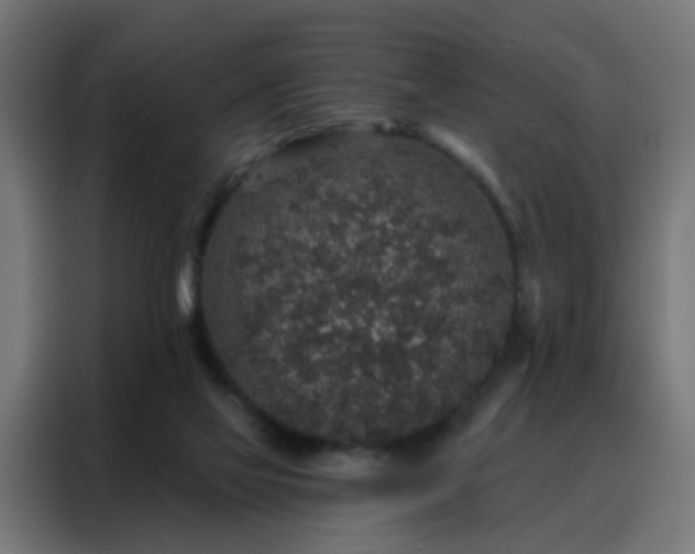 X0000088180069200705221650