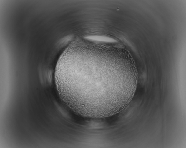 X0000088180070200705221650
