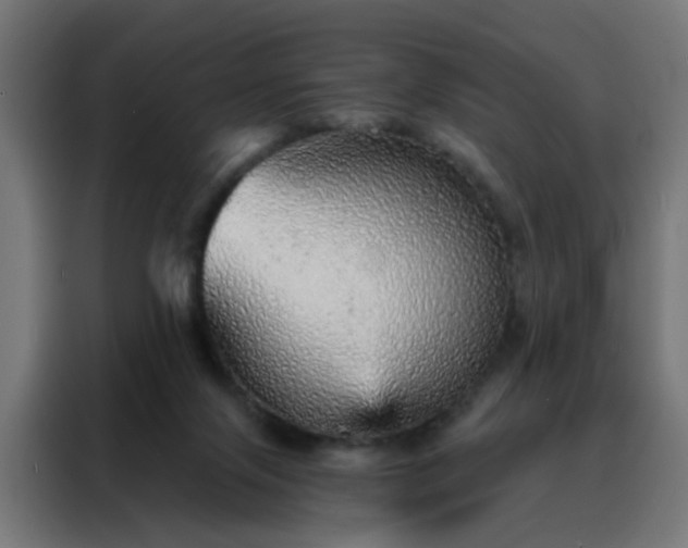 X0000088180071200705221650