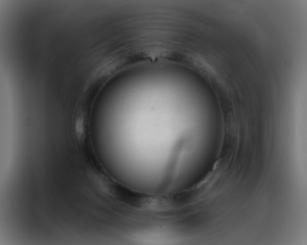 X0000088180074200705221651