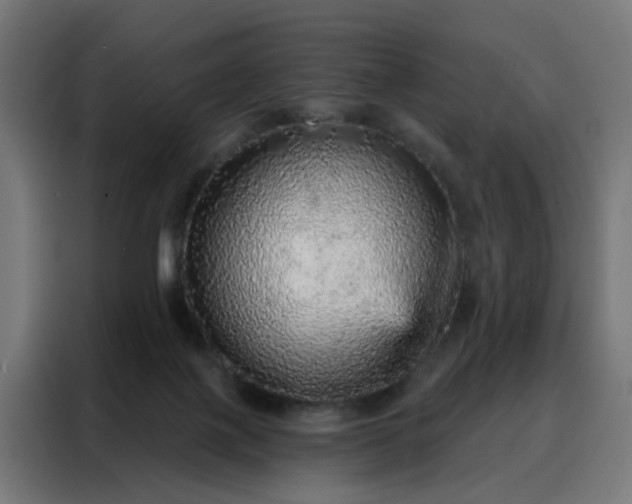 X0000088180075200705221651