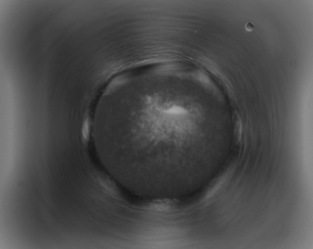 X0000088180076200705221651