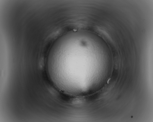 X0000088180077200705221651