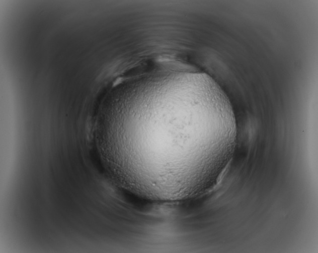 X0000088180078200705221651