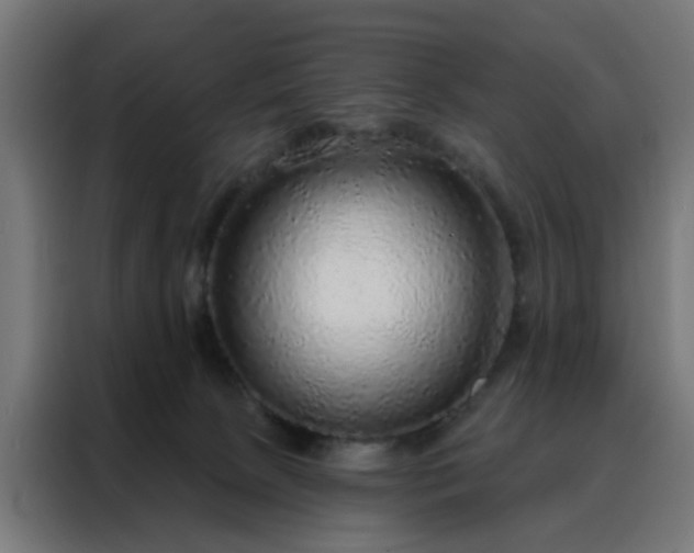 X0000088180081200705221651