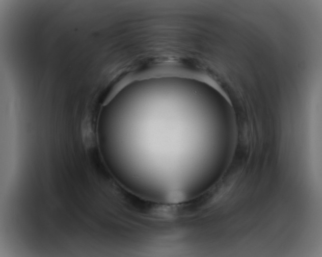 X0000088180084200705221651