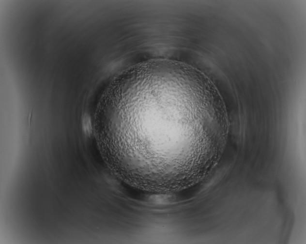 X0000088180089200705221651