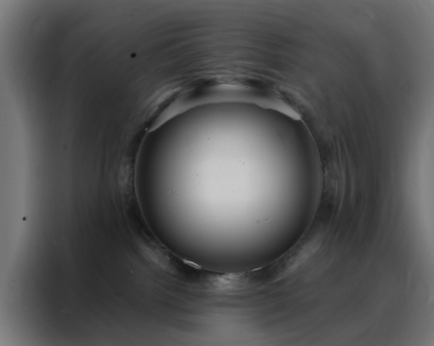 X0000088180092200705221651