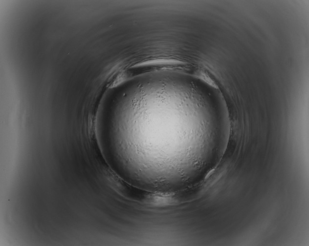 X0000088180093200705221651