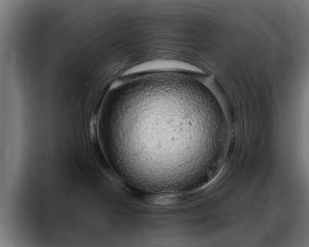 X0000088180094200705221651