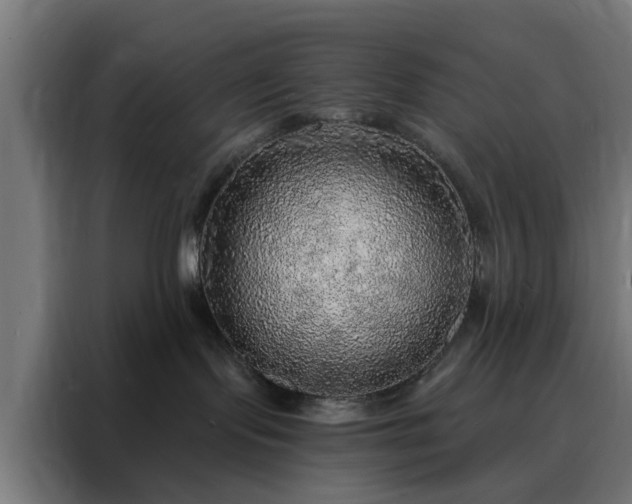 X0000088180095200705221651